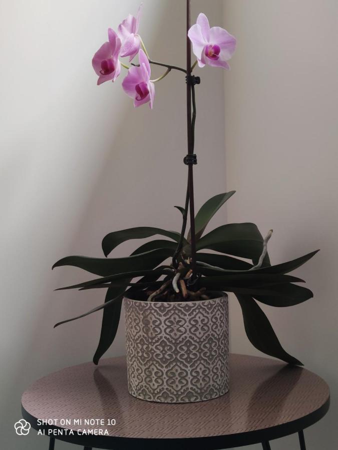 Bed & Breakfast D'hotes Du Muguet Avec Sdb Privative